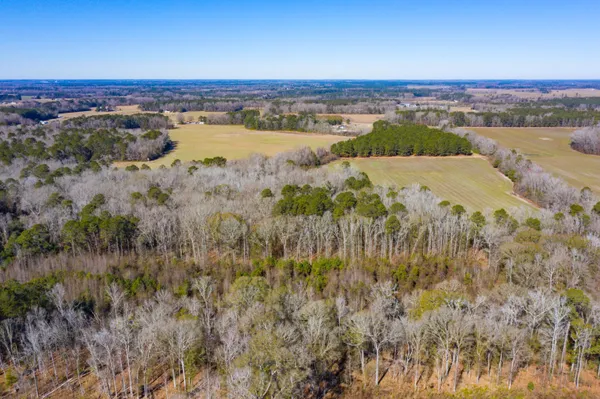 $135,000 | 0 Altvater Road, Elloree, SC 29047