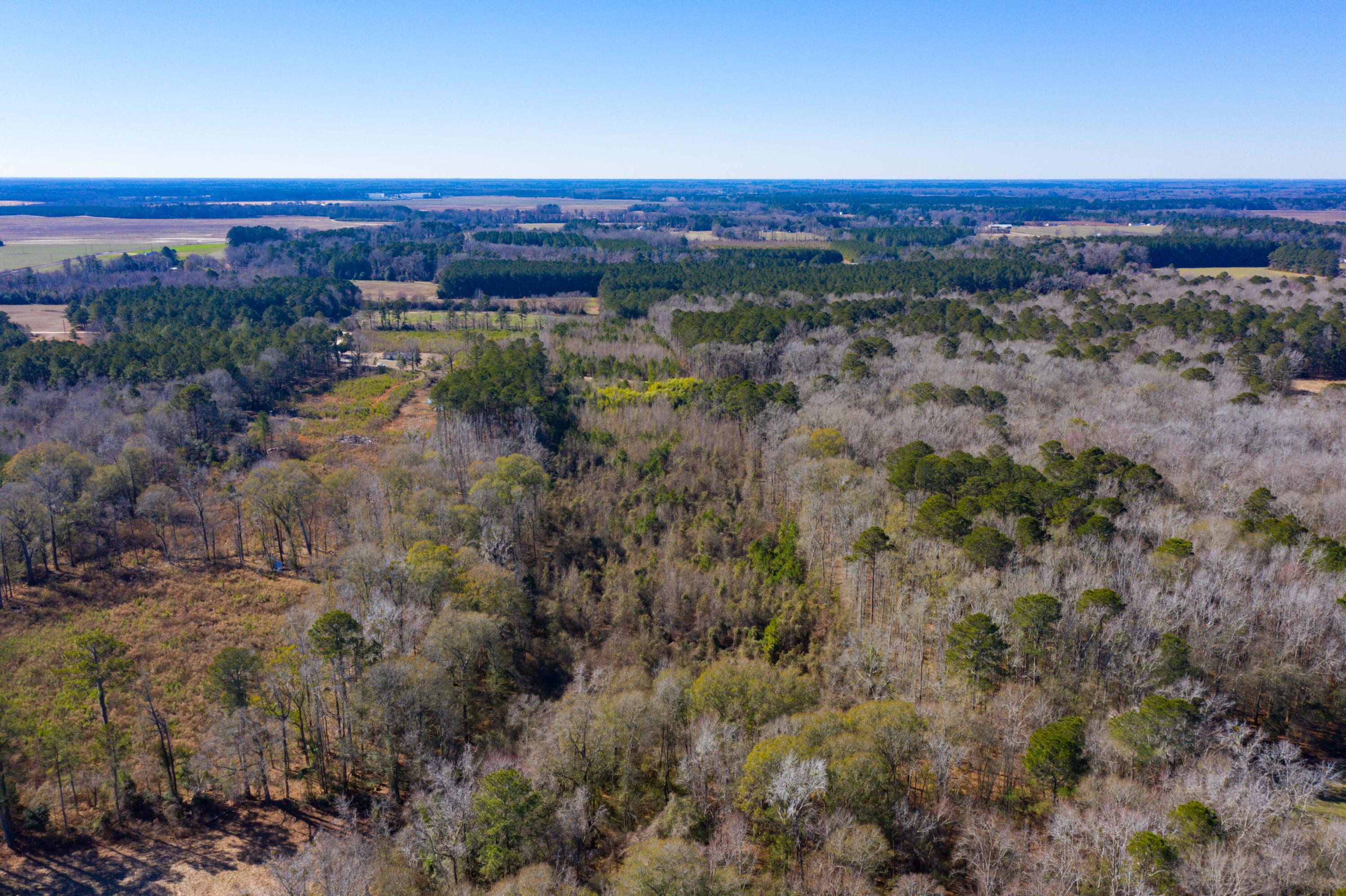 0 Altvater Road Elloree, SC 29047 - Photo 9 of 13 DJI_0021