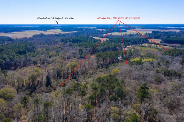 $135,000 | 0 Altvater Road, Elloree, SC 29047