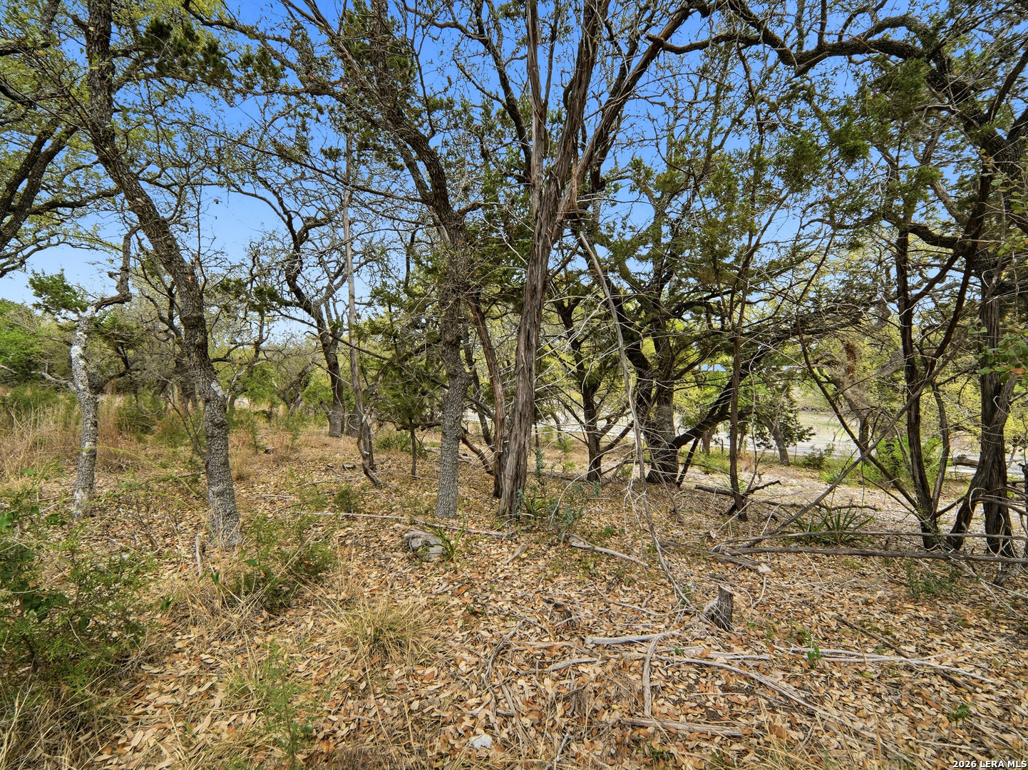 132 Fm 474 Boerne, TX 78006 - Photo 18 of 49 a view of a yard with a tree
