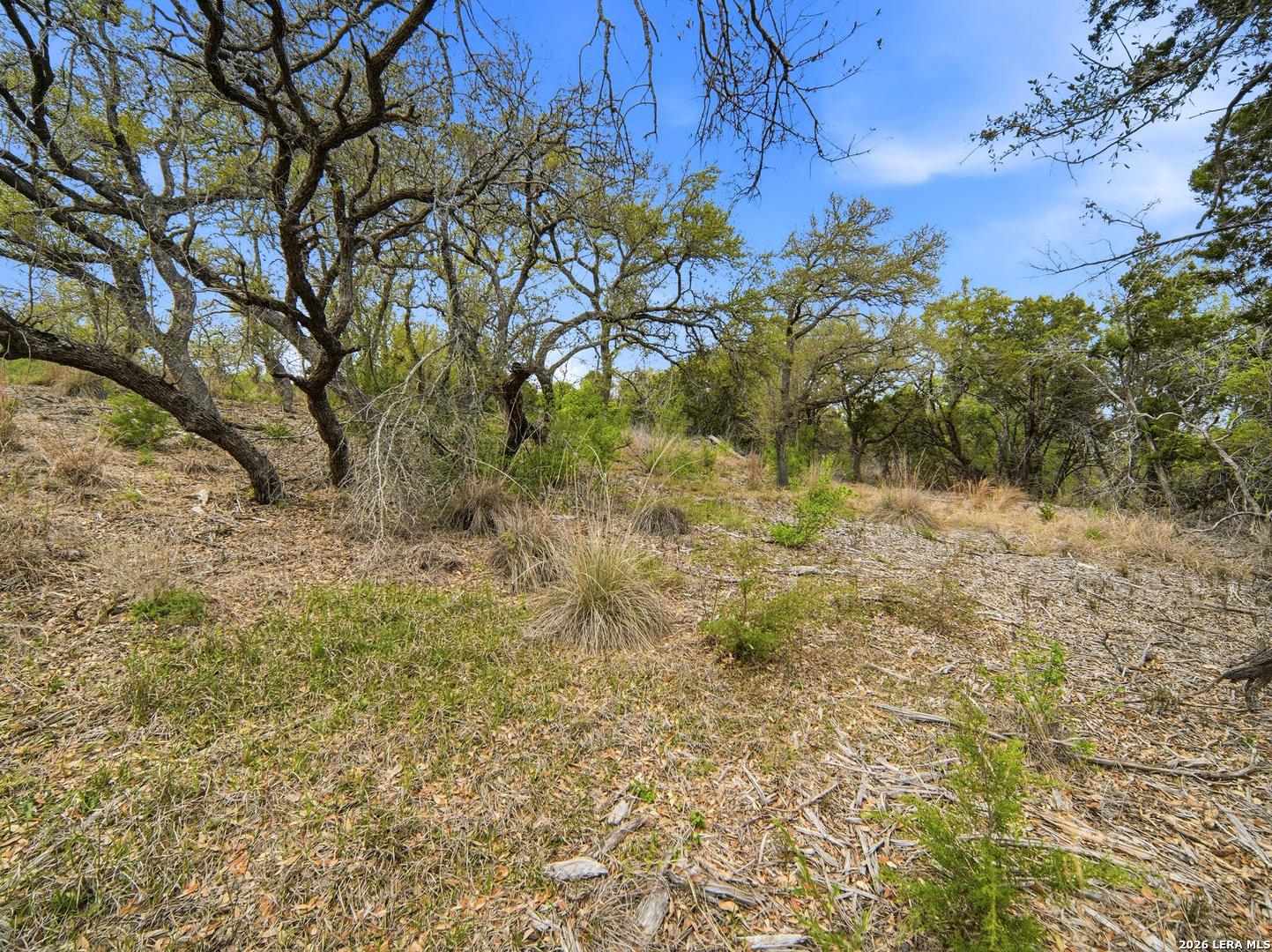 132 Fm 474 Boerne, TX 78006 - Photo 19 of 49 a view of a yard with plants and trees