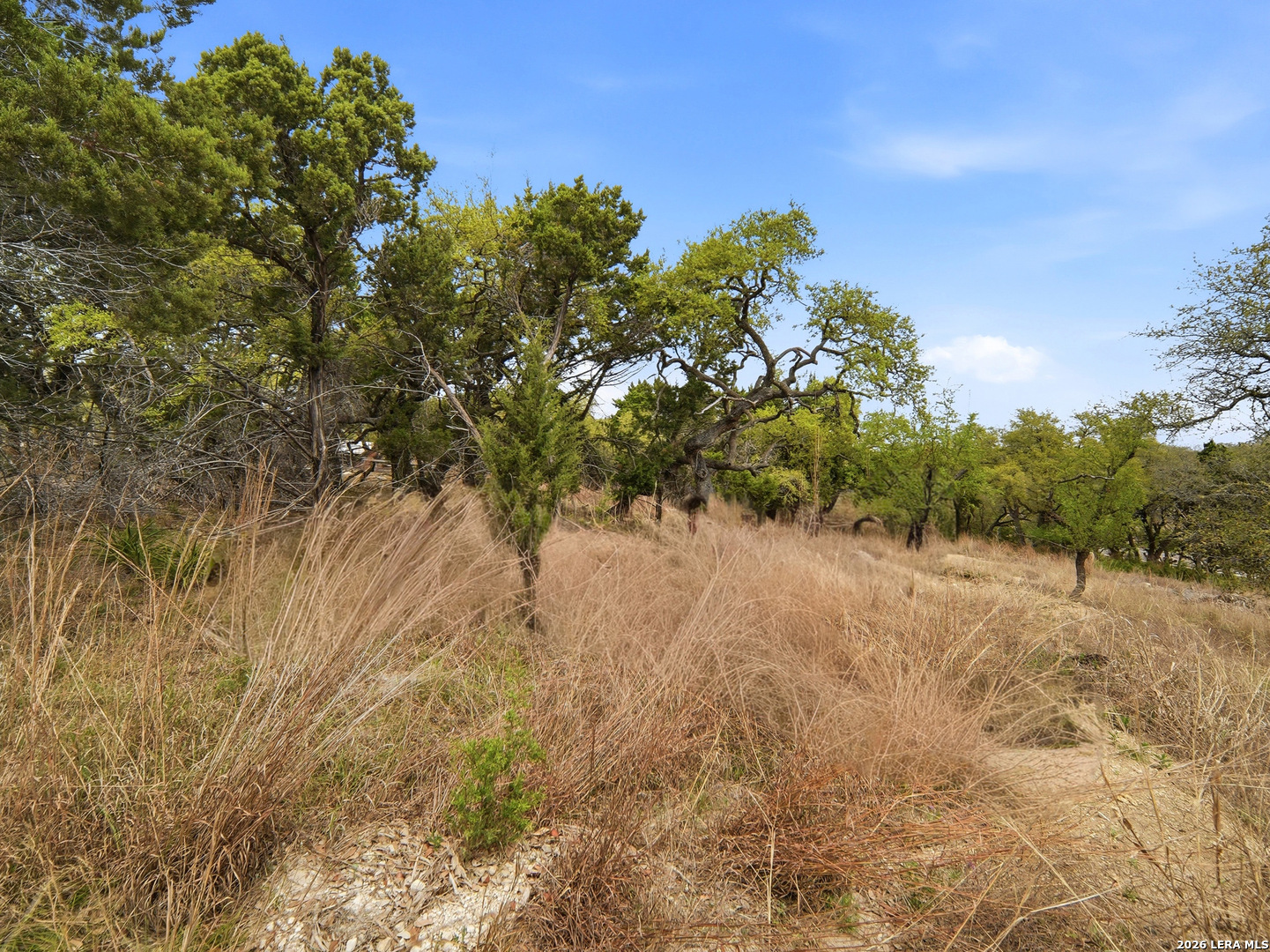 132 Fm 474 Boerne, TX 78006 - Photo 29 of 49 a view of a yard with a tree