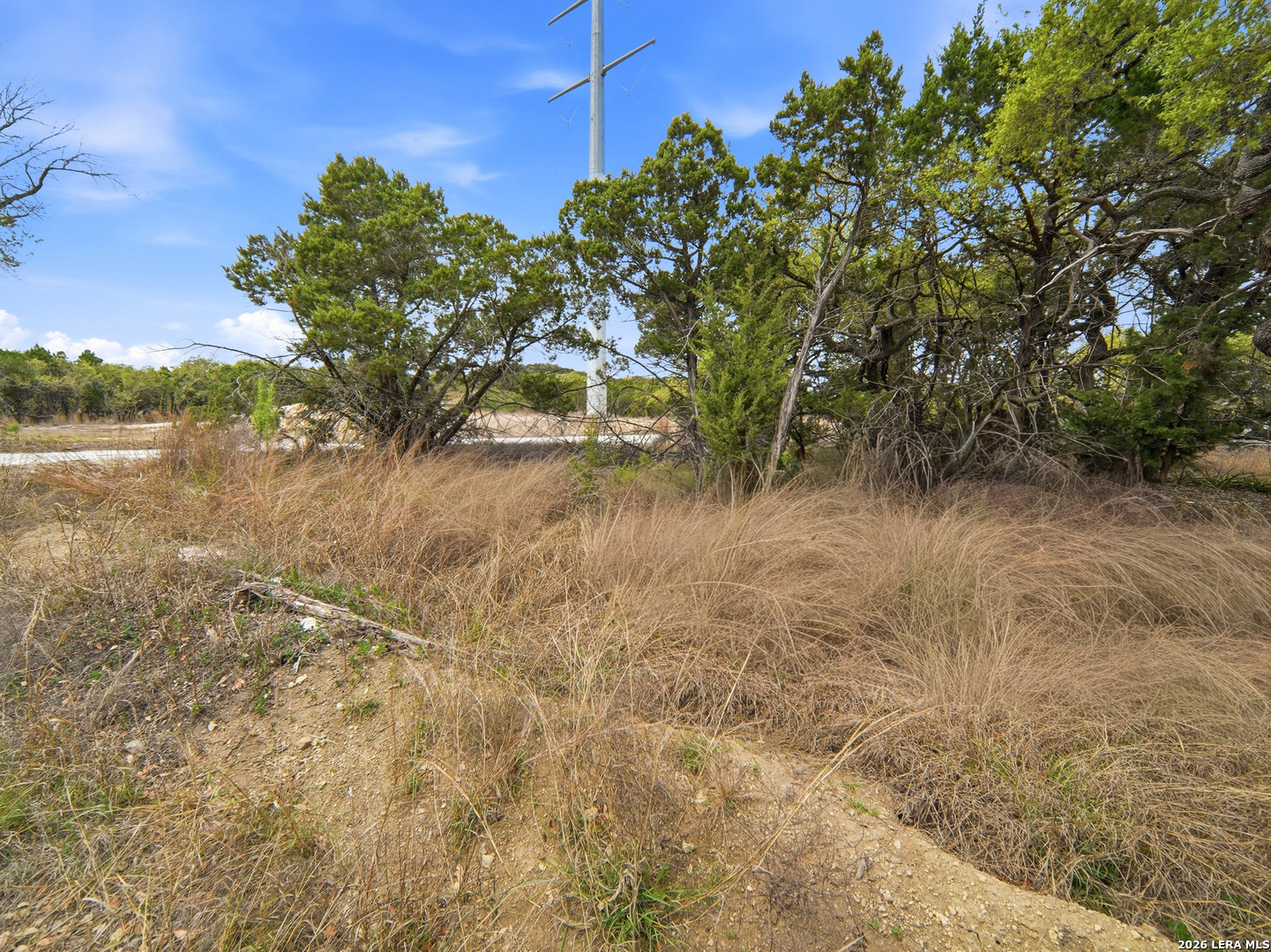 132 Fm 474 Boerne, TX 78006 - Photo 30 of 49 a view of a yard with plants and a trees