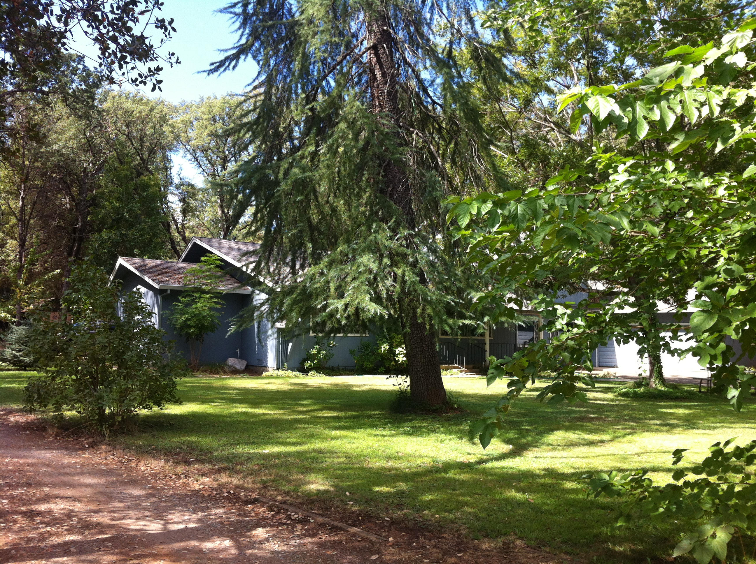 Front Yard