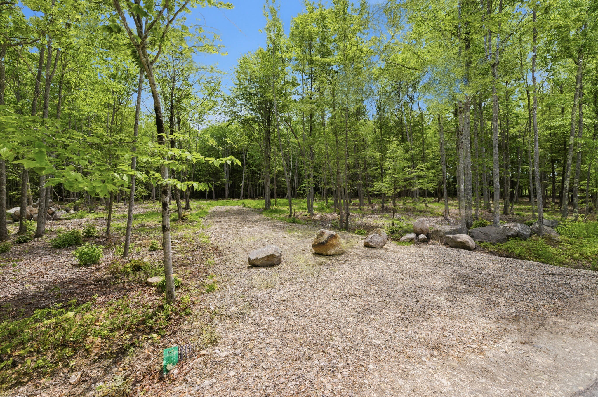 0 Buzzell Road Acton, ME 04001 - Photo 7 of 17 19