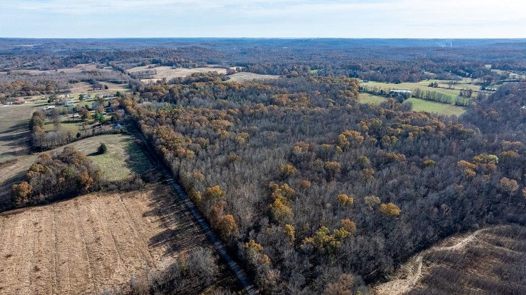 6301 Rochester Road Drakesboro, KY 42337 - Photo 4 of 8