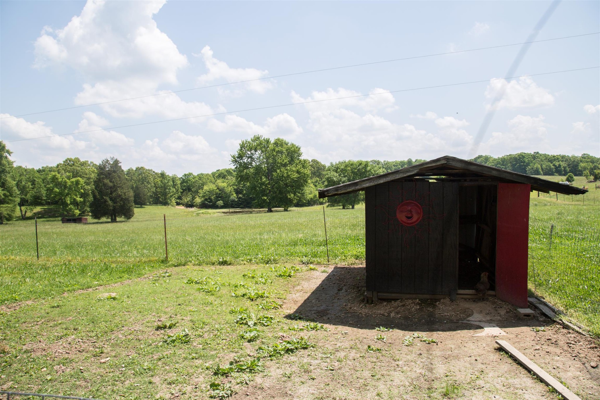 699 Mcelhiney Road Dickson, TN 37055 - Photo 23 of 25