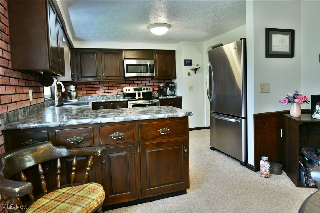 379 Housel Craft Road Bristolville, OH 44402 - Photo 13 of 50 Kitchen featuring a textured ceiling, light colored carpet, dark brown cabinets, a sink, and stainless steel appliances