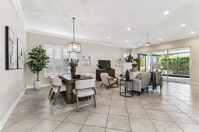 a living room with couches a dining table and a potted plant