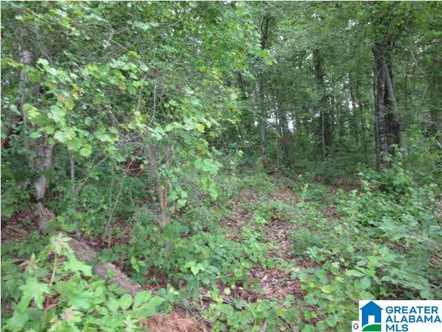 0 Timber Trail, Unit LOT 29 Sylacauga, AL 35151 - Photo 23 of 25