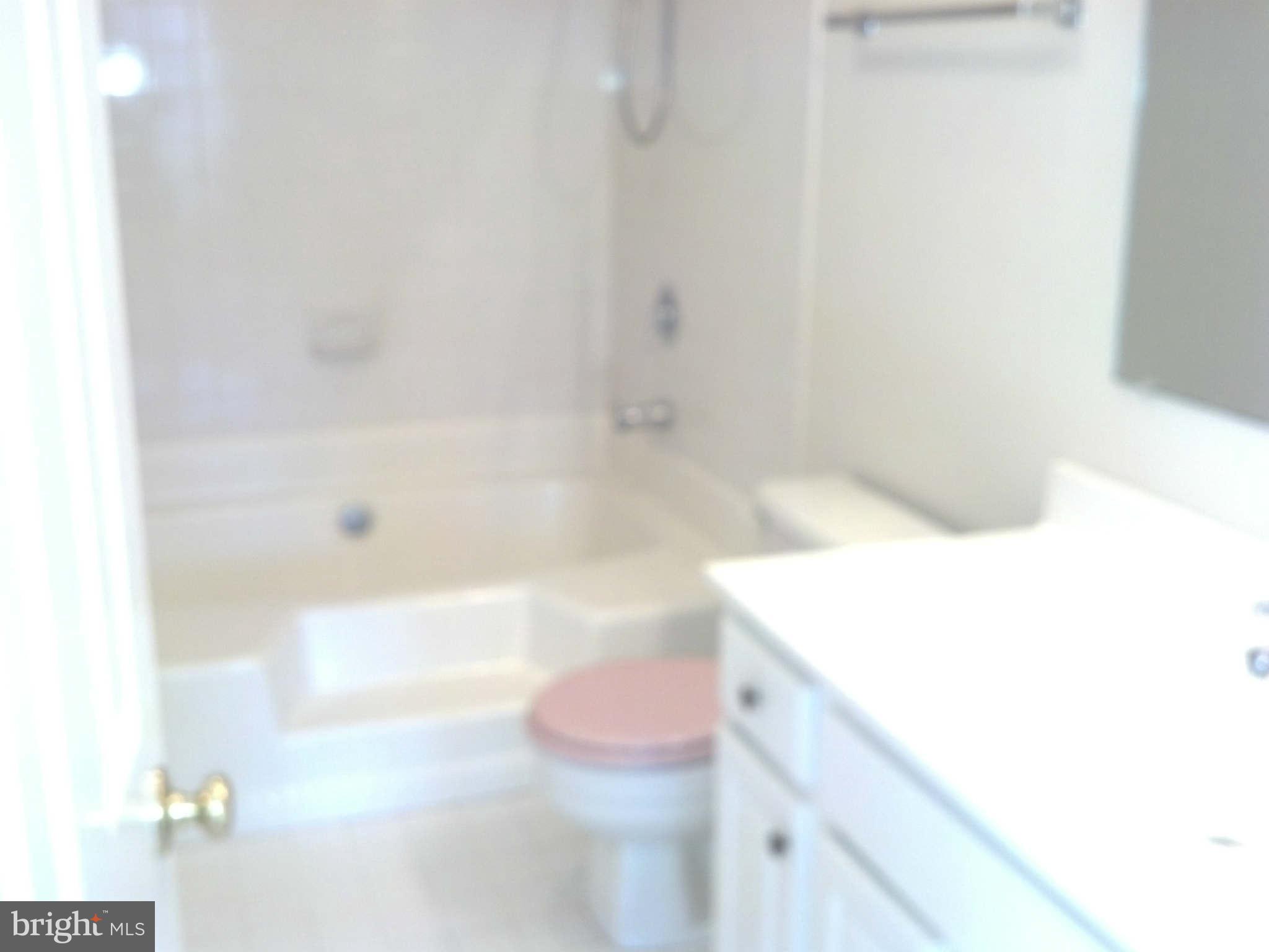 6312 Garden Road Springfield, VA 22152 - Photo 22 of 30 Bath (Master)