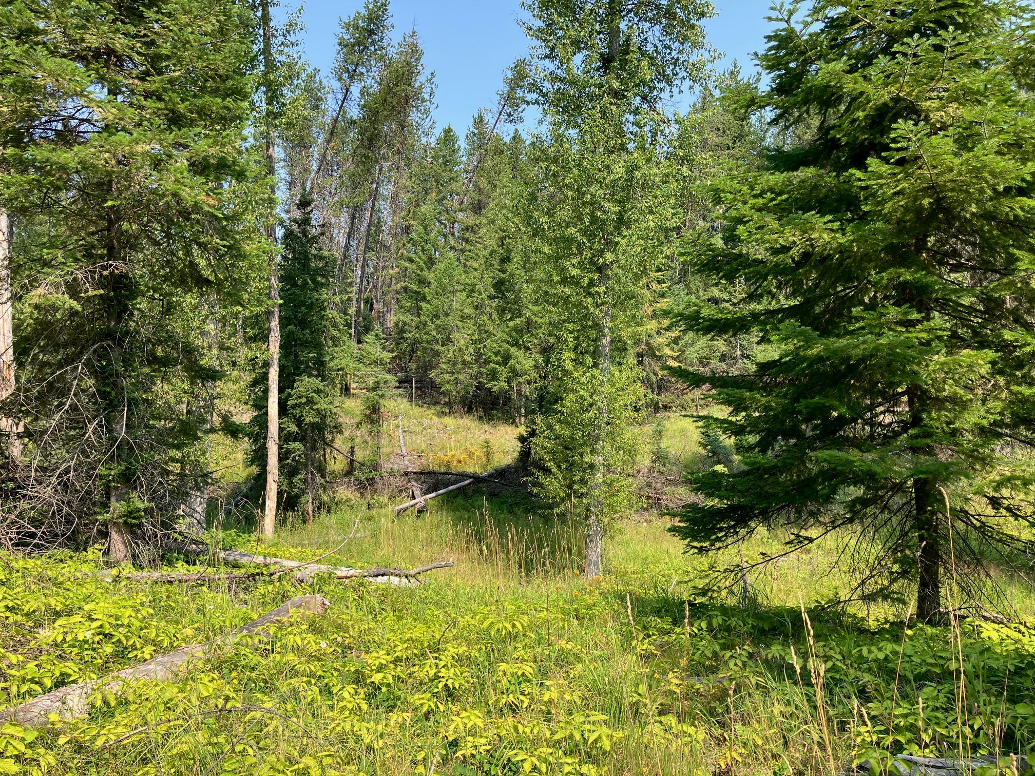 416 Terrace View Road Libby, MT 59923 - Photo 40 of 55 Gallery Image 40