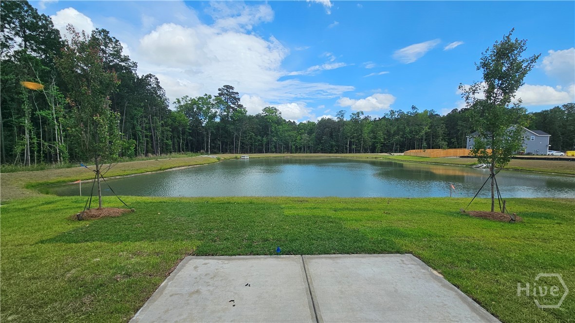 143 Classic Drive Pooler, GA 31322 - Photo 24 of 31 Finished Pictures