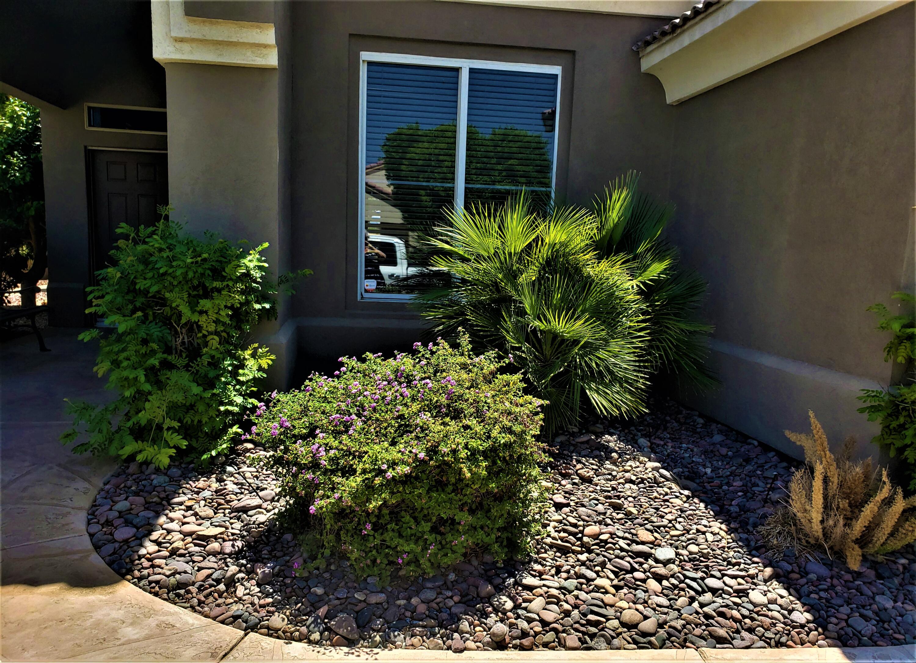 44017 Royal Troon Drive Indio, CA 92201 - Photo 2 of 33 a plant in front of a door