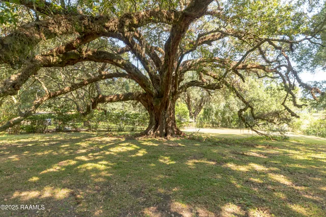 $290,000 | 905 Loreauville Road, New Iberia, LA 70563