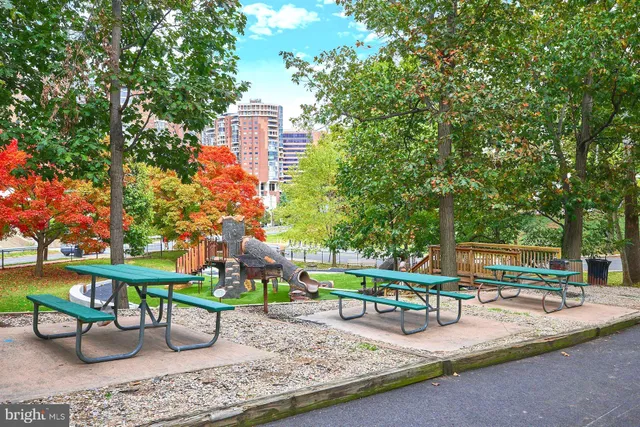 a view of a park with sitting area