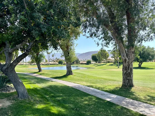 a view of a park with a tree