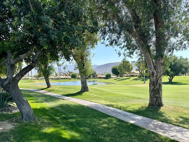 a view of a park with a tree