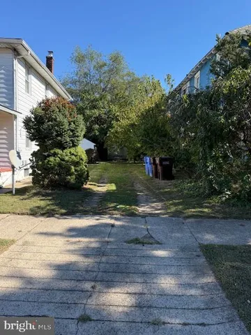 a view of a yard with plants