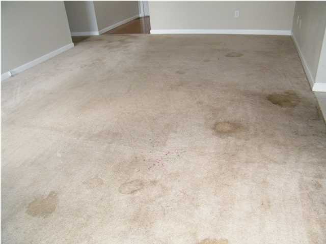1500 Spring Meadows Drive Ringgold, GA 30736 - Photo 4 of 27 Additional Photo
