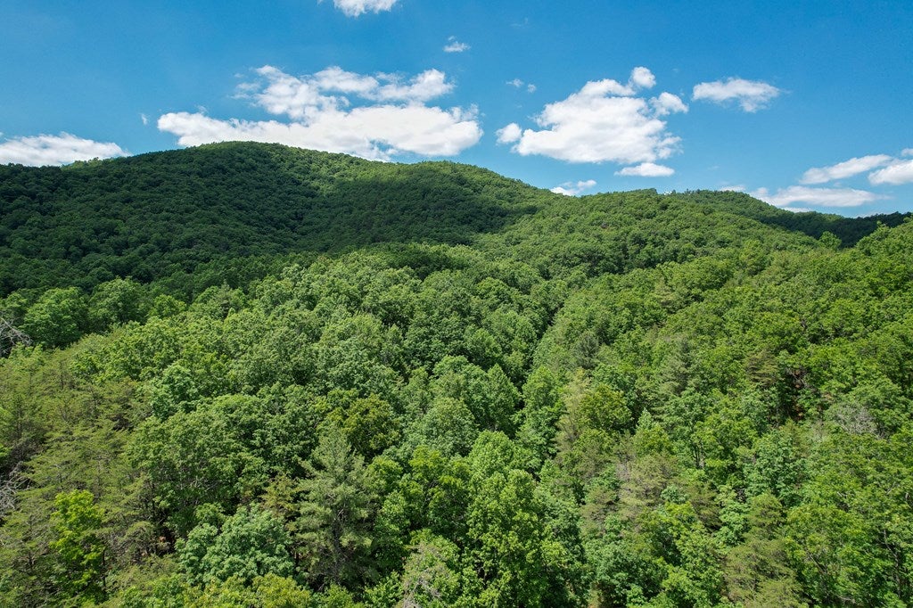Tbd Pleasantview Road, Unit 72 Austinville, VA 24312 - Photo 7 of 63 Gallery Image 7