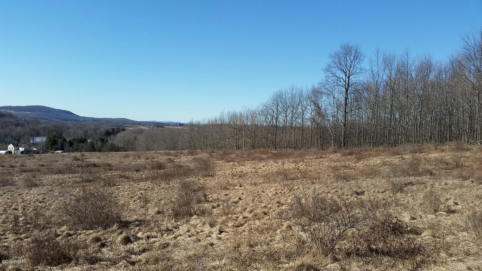 1297 Red Abbott Road Union Dale, PA 18470 - Photo 5 of 11