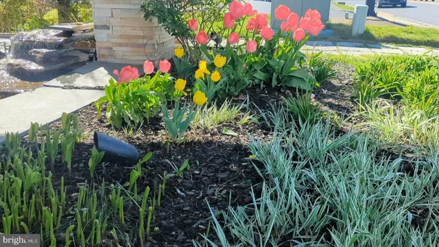 $599,000 | 1019 Berryville Avenue, Winchester, VA 22601