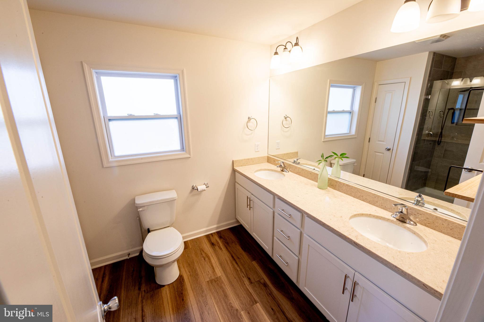 26300 Fire Tower Road Seaford, DE 19973 - Photo 23 of 52 a bathroom with a double vanity sink a mirror and a toilet