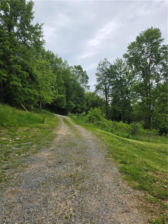 7680 Lamor Road Mercer, PA 16137 - Photo 3 of 22 a view of a field with trees in the background
