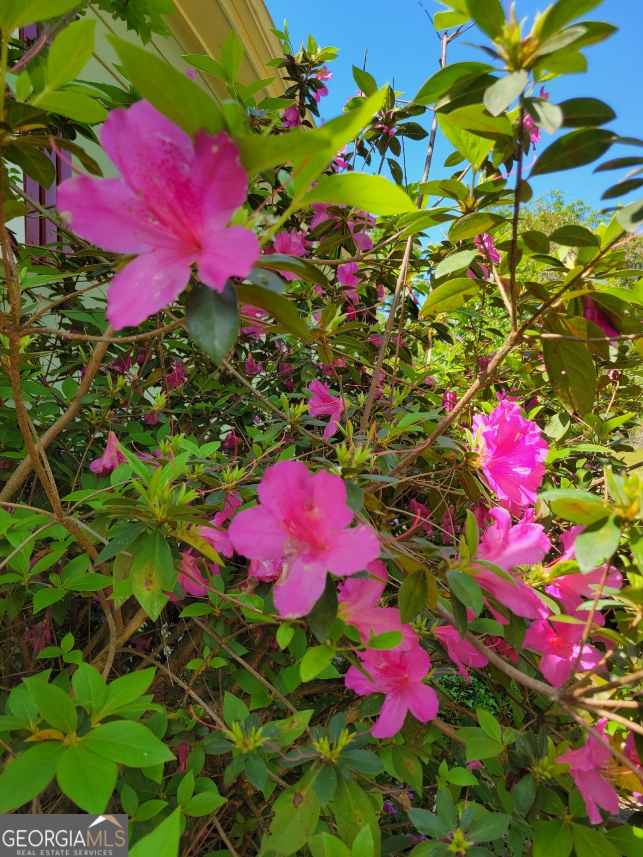 250 Wilcox Road LaGrange, GA 30241 - Photo 29 of 33