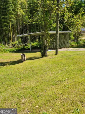 a view of a flower in a garden