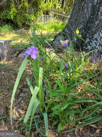 a front view of house with yard deck and seating space