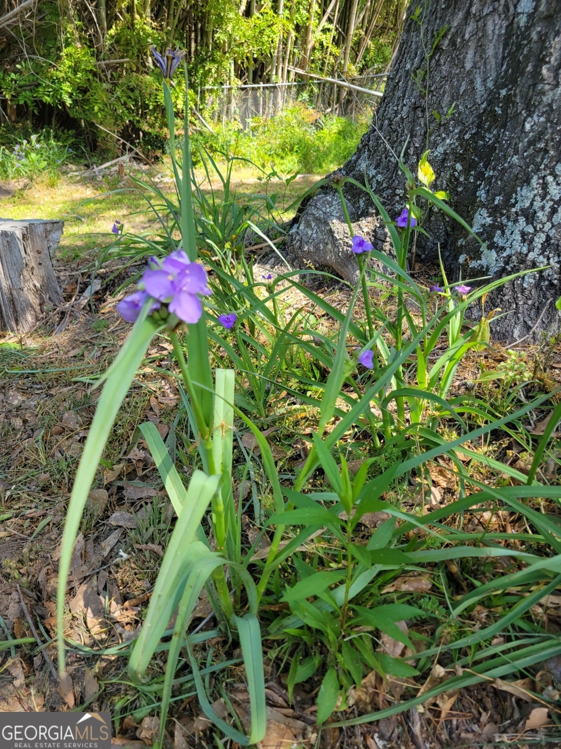 250 Wilcox Road LaGrange, GA 30241 - Photo 32 of 33