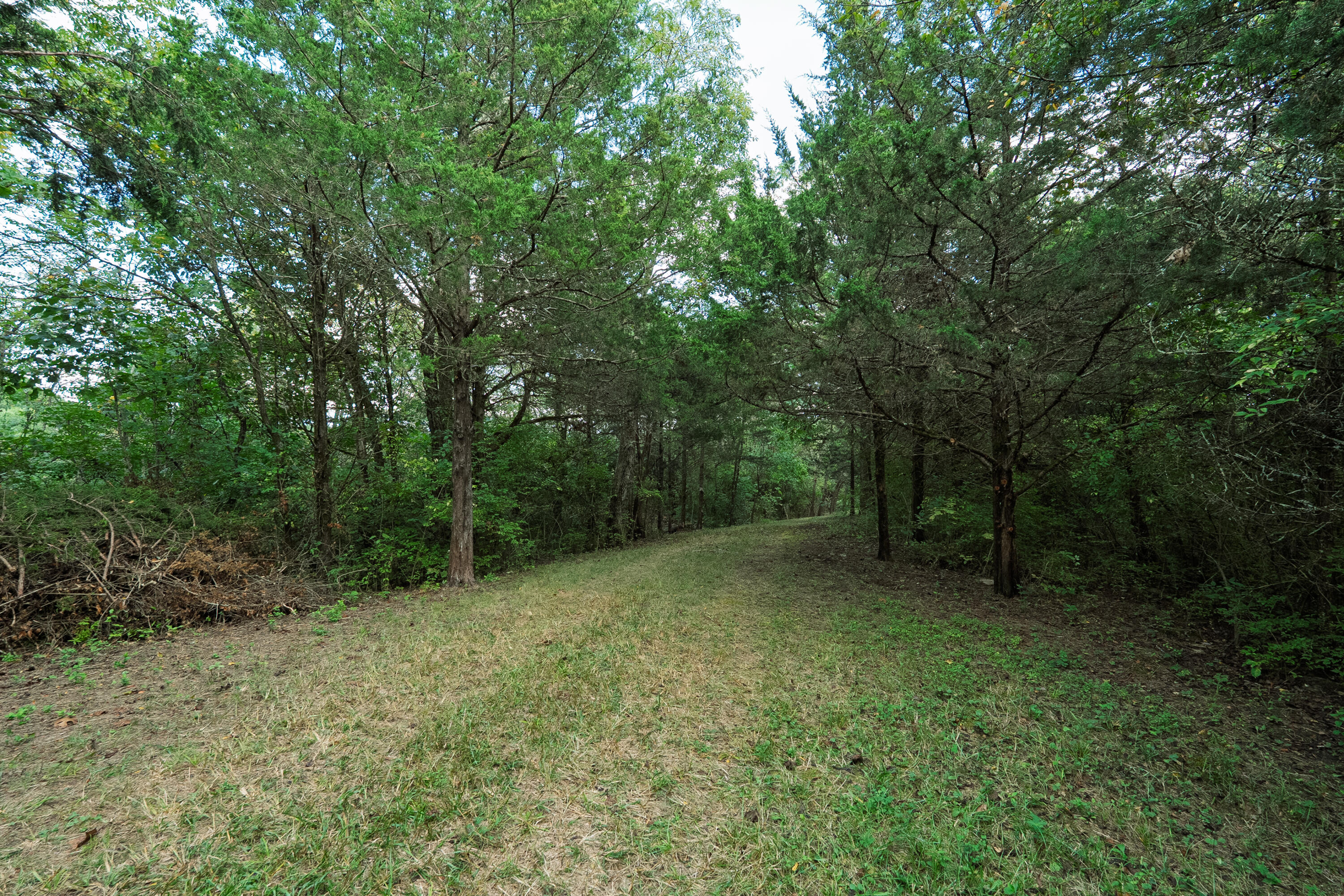 3926 Hogg Ridge Road Williamstown, KY 41097 - Photo 59 of 92 Hogg3846-15