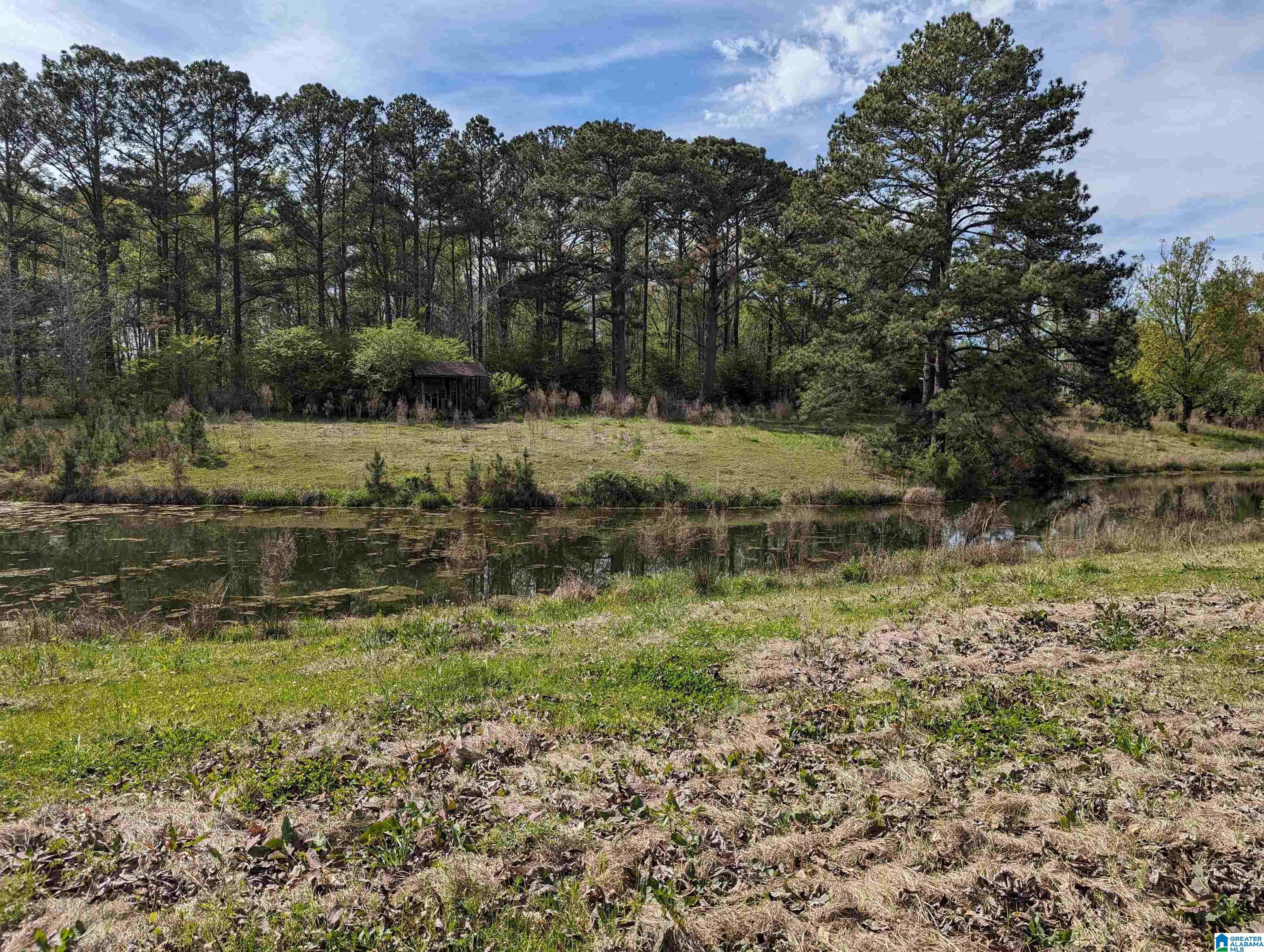 1383 Old Rock Creek Road Bessemer, AL 35023 - Photo 43 of 56