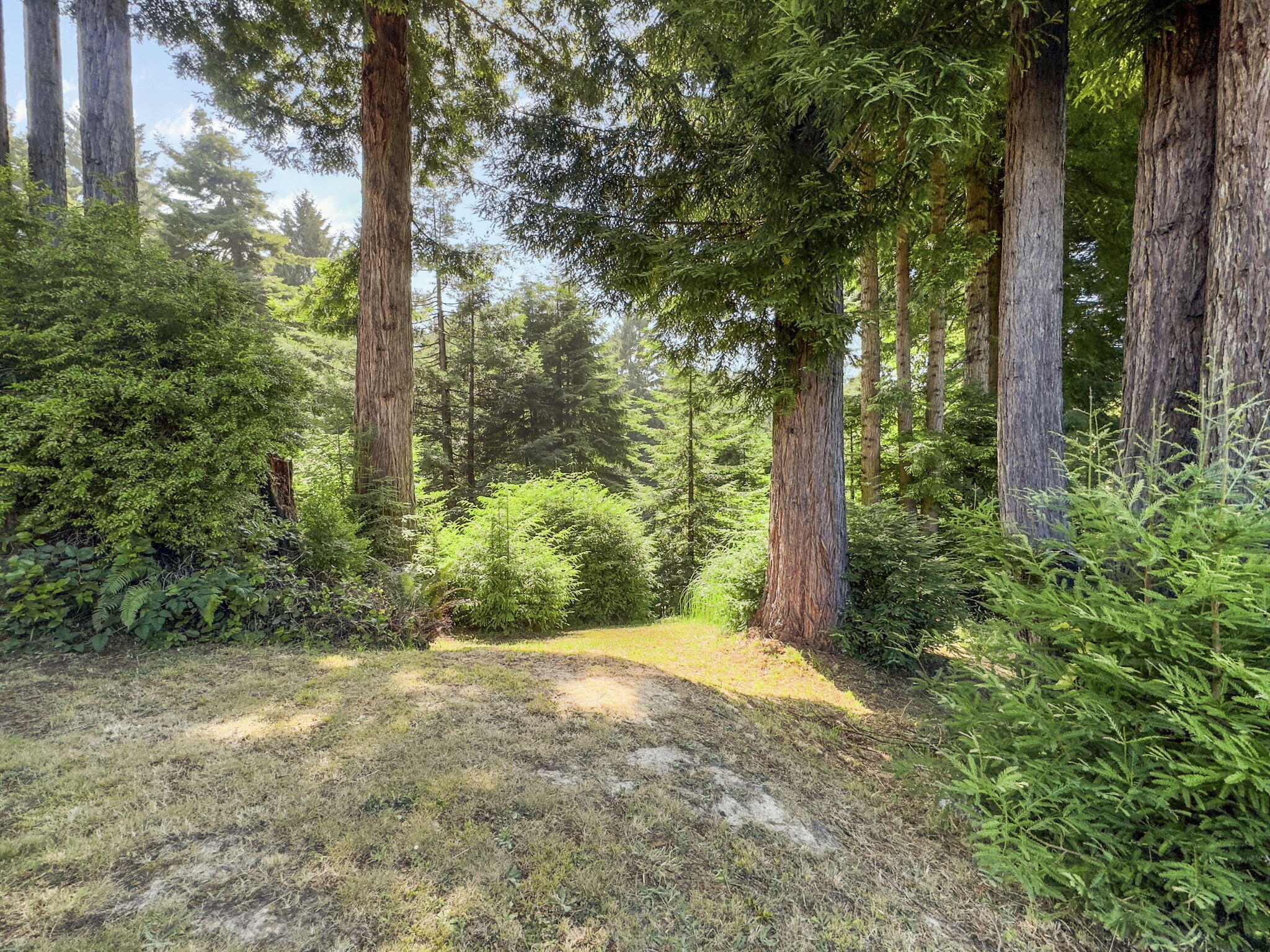 720 Tanglewood Road Eureka, CA 95503 - Photo 44 of 173