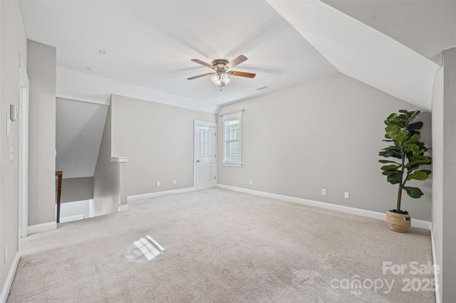 a view of a livingroom with a potted plant a ceiling fan and a rug