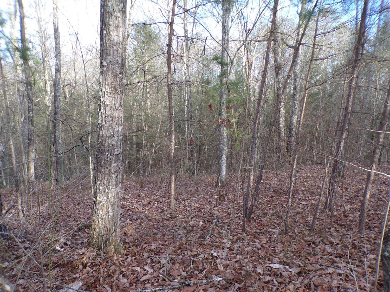 4200 Forest Service Road London, KY 40744 - Photo 1 of 44 Photo 1