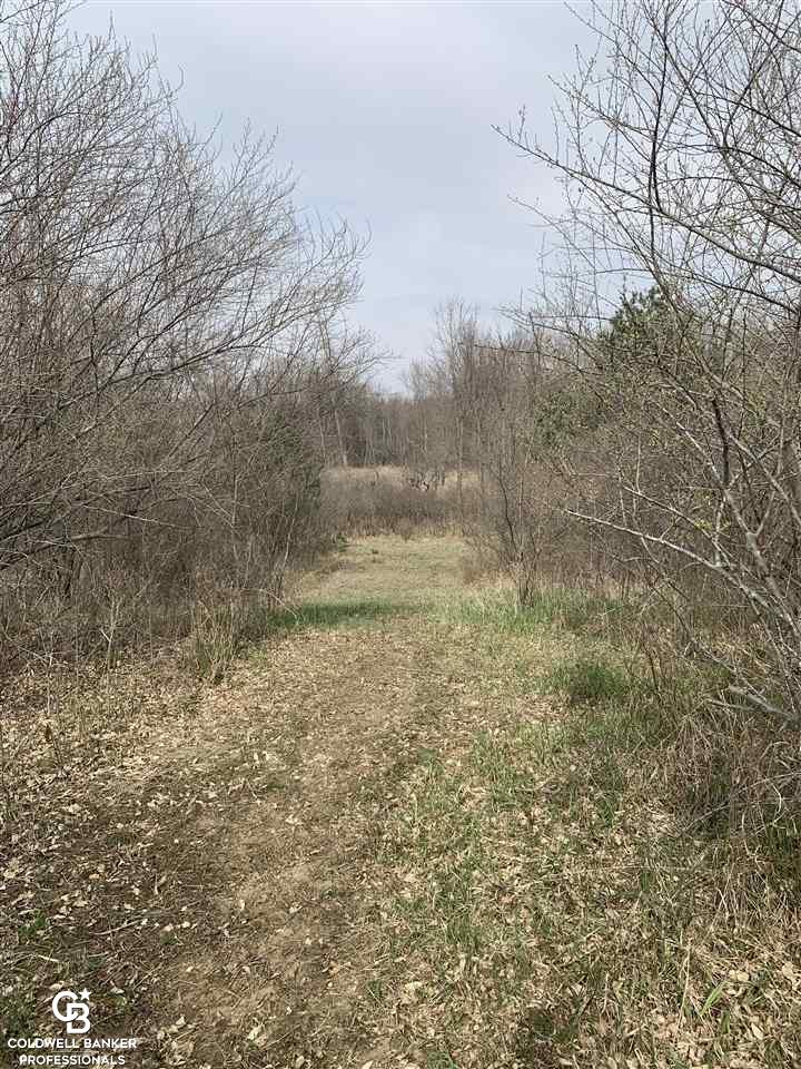 Jordan Road Melvin, MI 48454 - Photo 20 of 21 50072475-19.JPG