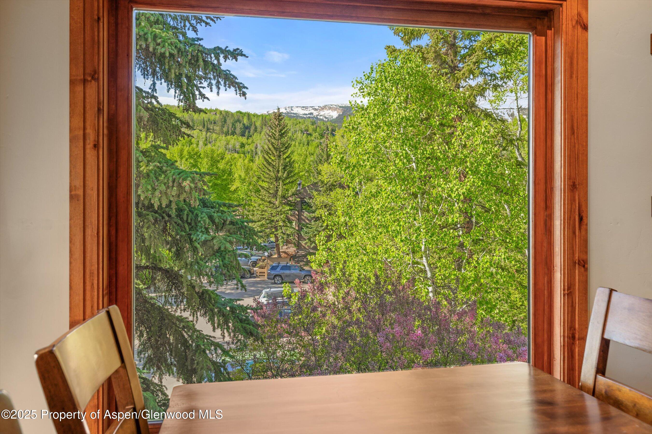 35 Lower Woodbridge Road, Unit W 184 Snowmass Village, CO 81615 - Photo 11 of 32 a view of a garden from a window
