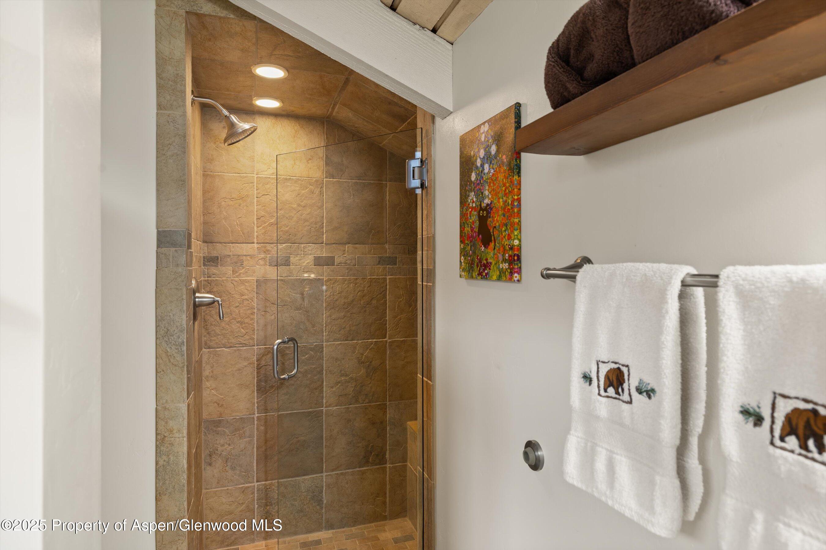 35 Lower Woodbridge Road, Unit W 184 Snowmass Village, CO 81615 - Photo 23 of 32 a bathroom with a shower
