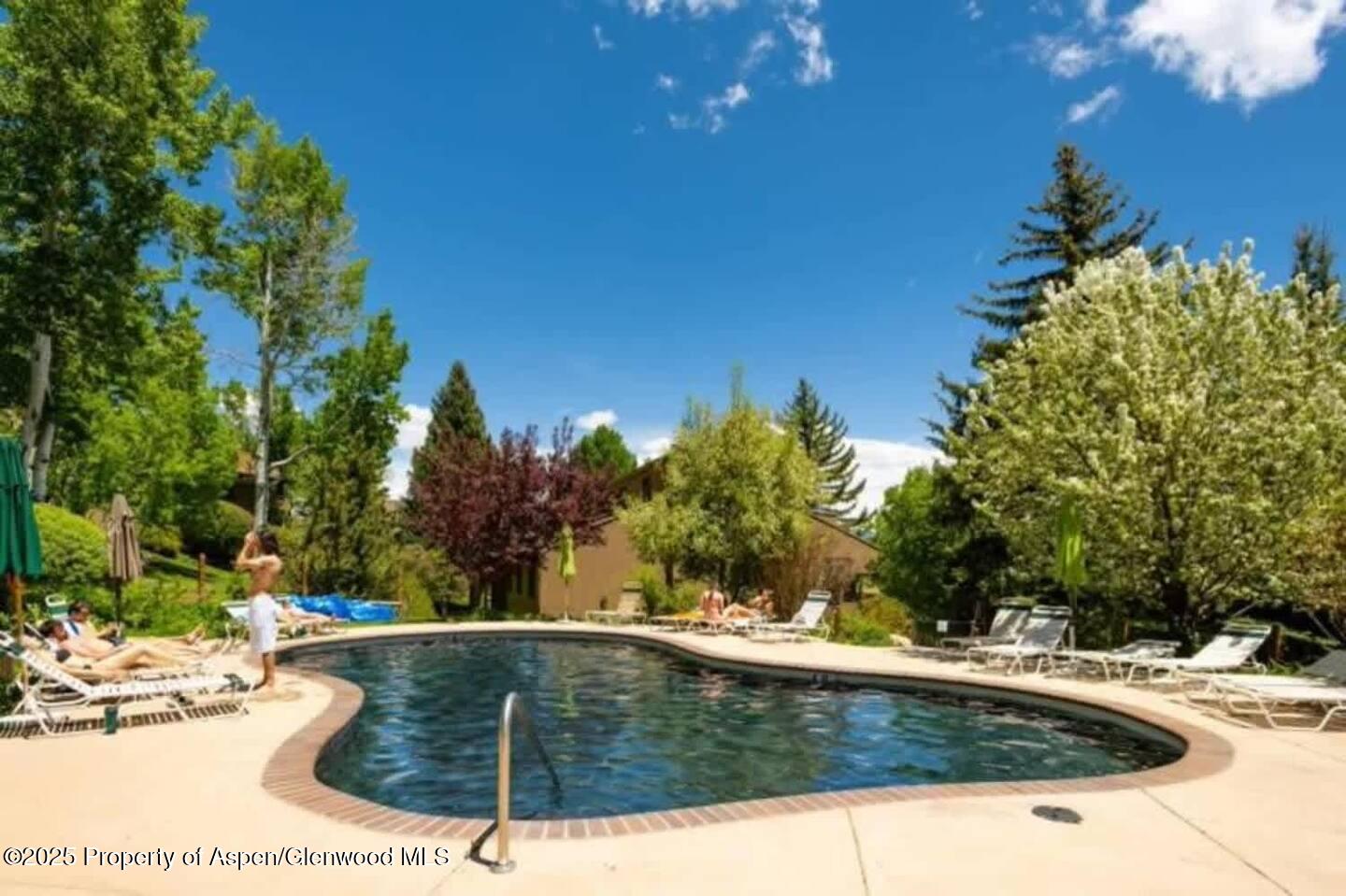 35 Lower Woodbridge Road, Unit W 184 Snowmass Village, CO 81615 - Photo 28 of 32 a view of swimming pool and trees in the background