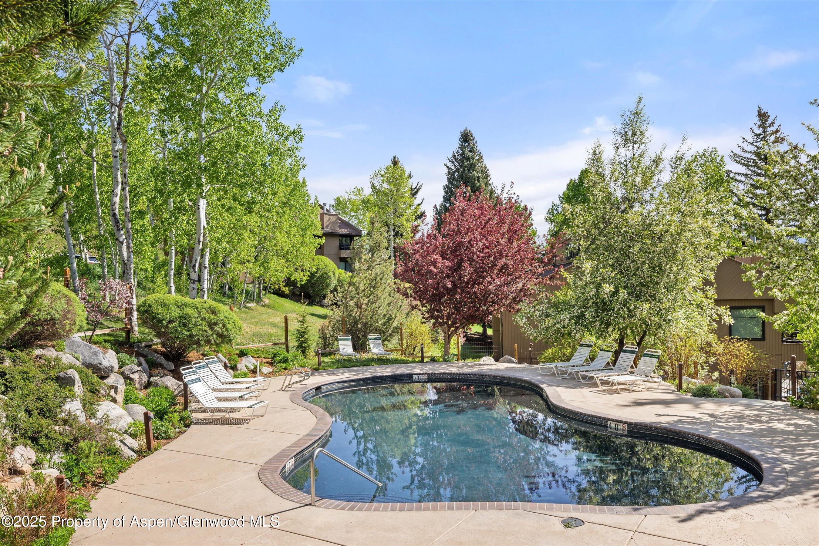 35 Lower Woodbridge Road, Unit W 184 Snowmass Village, CO 81615 - Photo 29 of 32 a view of a backyard with swimming pool