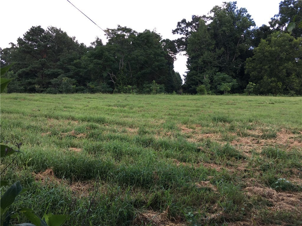 216 South Moss Flat Road Notasulga, AL 36866 - Photo 16 of 25 Gallery Image 16