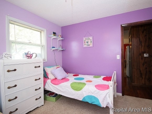 2228 Dunwich Street Springfield, IL 62702 - Photo 14 of 24