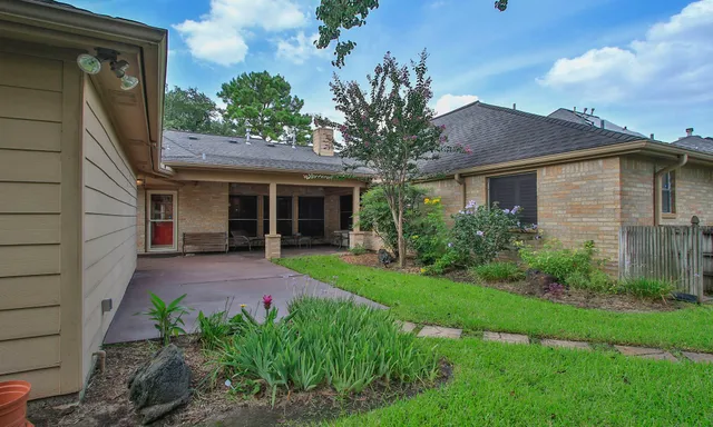 a view of a backyard with plants and a large tree