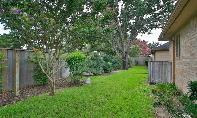 a backyard of a house with plants and large tree