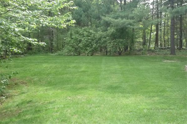 28 Ridge Road Walpole, MA 02081 - Photo 25 of 30 Gallery Image 25