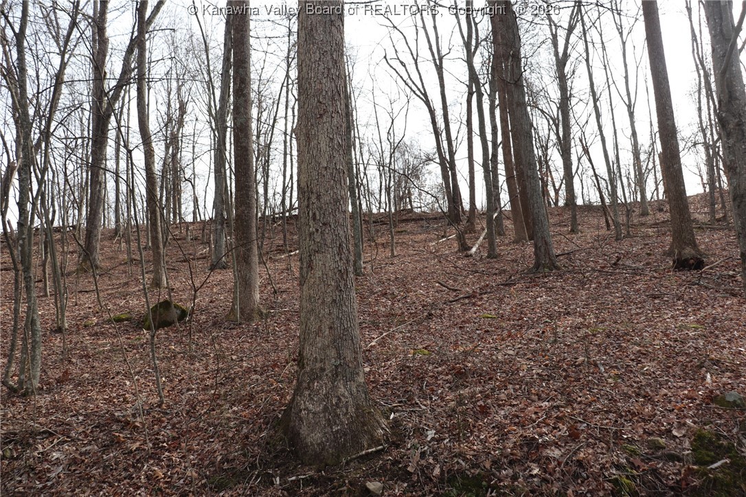 0 Route 12 Road Alum Creek, WV 25003 - Photo 43 of 44 Gallery Image 43