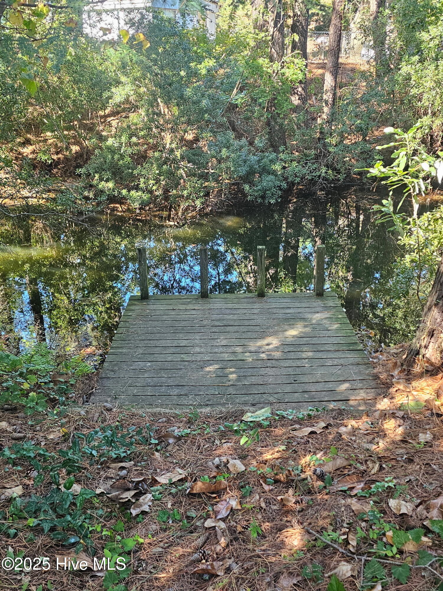 124 Waterview Drive Grandy, NC 27939 - Photo 12 of 35 8708695024775896042